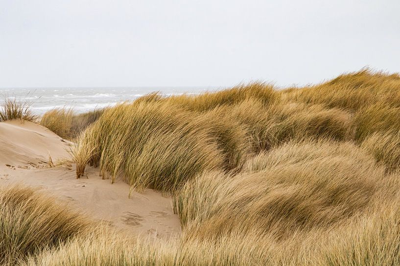 Dunes by Anna Thiessen