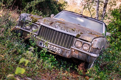 Vergessener Luxus im Wald – ein amerikanischer Klassiker im Dornröschenschlaf von Gentleman of Decay