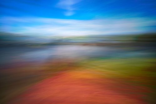 Bewogen tijd in Bergse bos