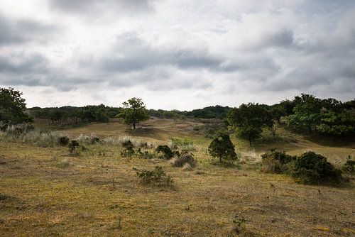 De duinen bij Noordwijk