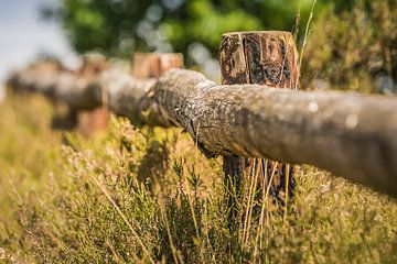 Down the Fence von Vincent van den Hurk