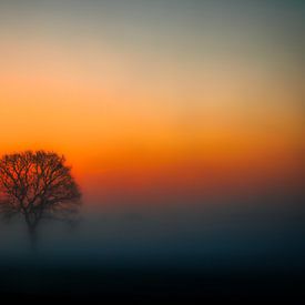 Stille im Nebel von Patrick Teeling