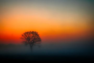 Stille im Nebel