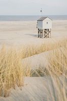 Ein Sommerblick auf Terschelling