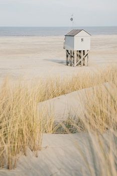 Een zomers beeld op Terschelling