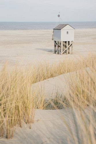 A summer view on Terschelling
