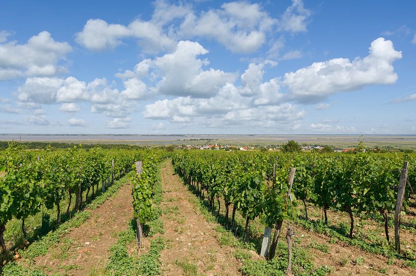 Vue sur le village viticole de Mörbisch am See par Peter Eckert