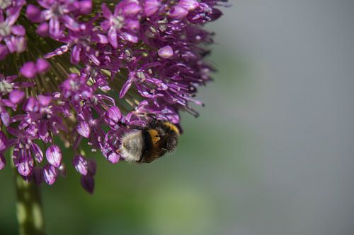 Zeit für das Abendessen