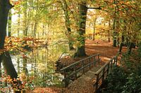 Herfst