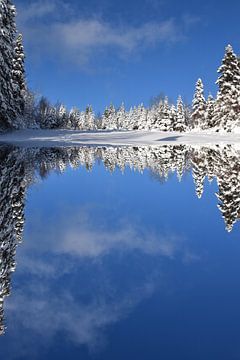 Reflections of winter on the lake by Claude Laprise
