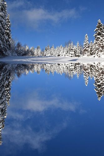 Spiegelungen des Winters auf dem See
