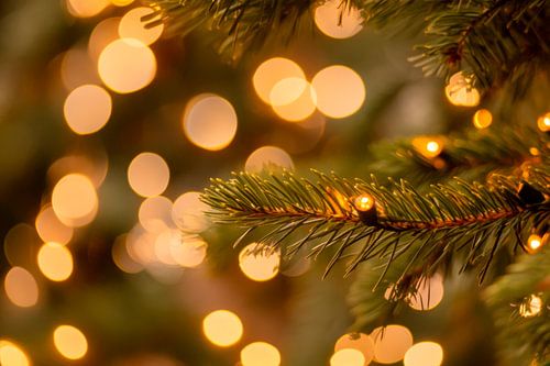 Kerstverlichting Takken van sparren