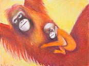 Orang Utan Mutter und Baby van Dorothea Linke thumbnail