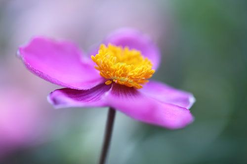 Reaching for the light