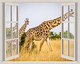 Giraffe safari hotel van Co Seijn thumbnail