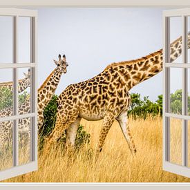 Giraffe safari hotel van Co Seijn