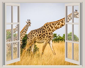 Giraffe safari hotel van Co Seijn