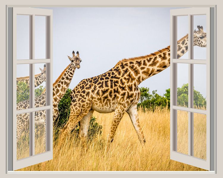 Giraffen-Safari-Hotel von Co Seijn