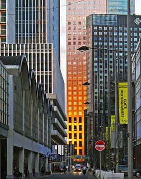 Manhattan aan de Maas van Monique Jouvenaar