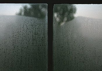 verdriet