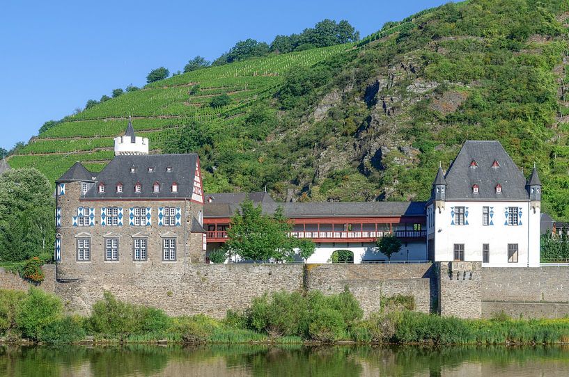 Castle von der Leyen,Moselle Valley by Peter Eckert