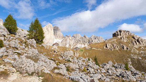 Nature of Italy – South Tyrol – The rugged Rosengarten massif above autumnal alpine meadows