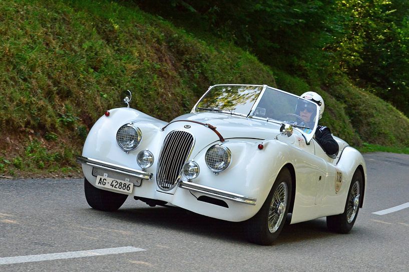 Jaguar XK 120 OTS EGGBERG KLASSE 2019 van Ingo Laue