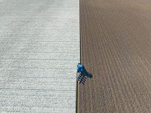 Tractor ploughing the soil for planting crops 