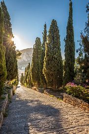 Weg auf den Kalvarienberg auf Pollenca, Mallorca