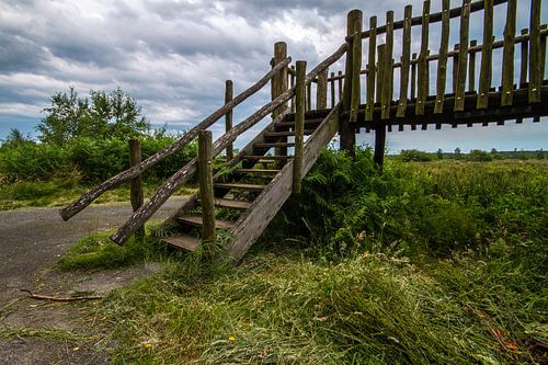 uitkijk plateau de grote peel.