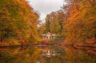 Zypendaal in de herfst van Patrick Oosterman thumbnail