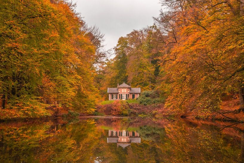 Zypendaal in de herfst van Patrick Oosterman