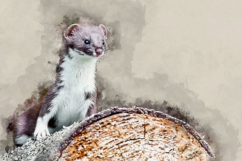 Hermelijn op een boomstam