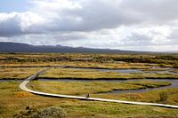 Thingvellir IJsland