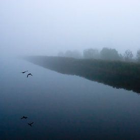 Canards sur Koen Smit