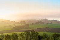 Limburg, Agriculture in the Colmont Dry Valley, autumn 2024