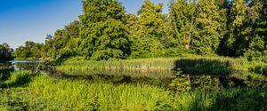 Schwanenteich im Schlosspark Putbus