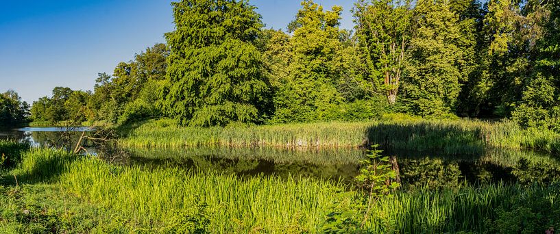 Schwanenteich im Schlosspark Putbus von GH Foto & Artdesign