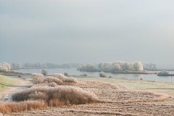 Winterlandschap in de IJsseldelta bij Kampen van Sjoerd van der Wal