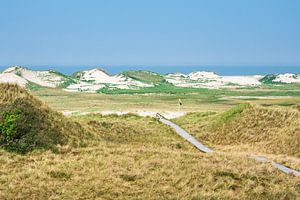 Landschaft in den Dünen bei Norddorf auf der Insel Amrum