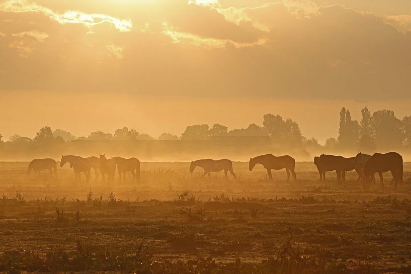 A new day by Trudy M. Simons-Pos
