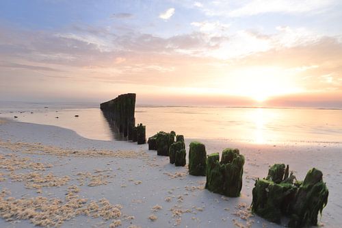 Palenrij Hollum bij zonsondergang