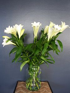 Amaryllis-Bouquet im Frühling