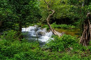 Cascade dans la forêt, vue à travers la verdure