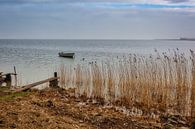 Marken, Markermeer bootje voor rietkraag. van Twan van den Hombergh thumbnail