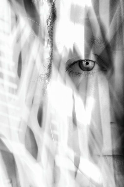 Het oog by Inge Vel
