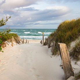 Strandzugang zur Ostsee von Daniela Beyer