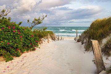Strandzugang zur Ostsee