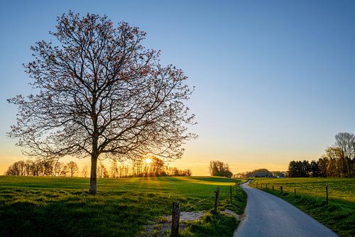 Bergisches Land, Odenthal, Duitsland