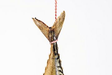 Hangende makrelen staart van MICHEL WETTSTEIN